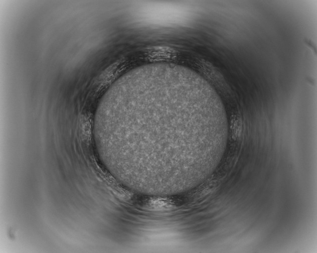 X0000101970753200808011130