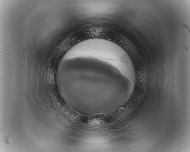X0000101970754200808011130