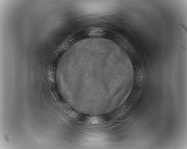X0000101970755200808011130