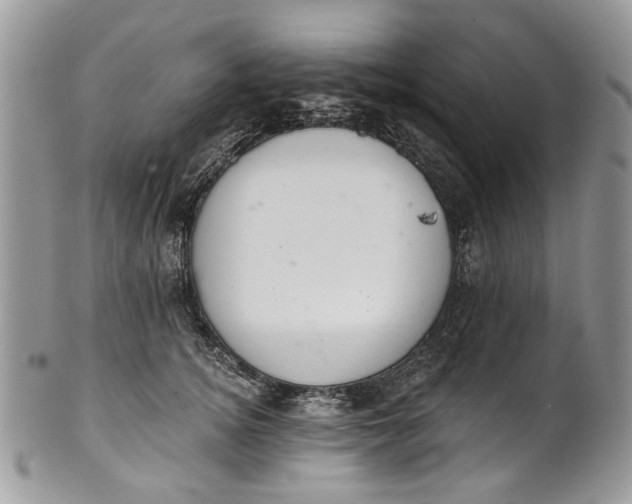 X0000101970756200808011130