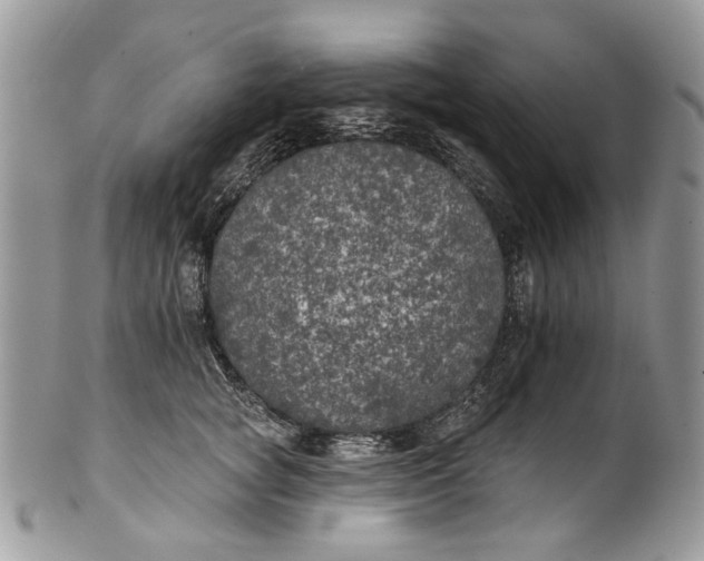 X0000101970757200808011130