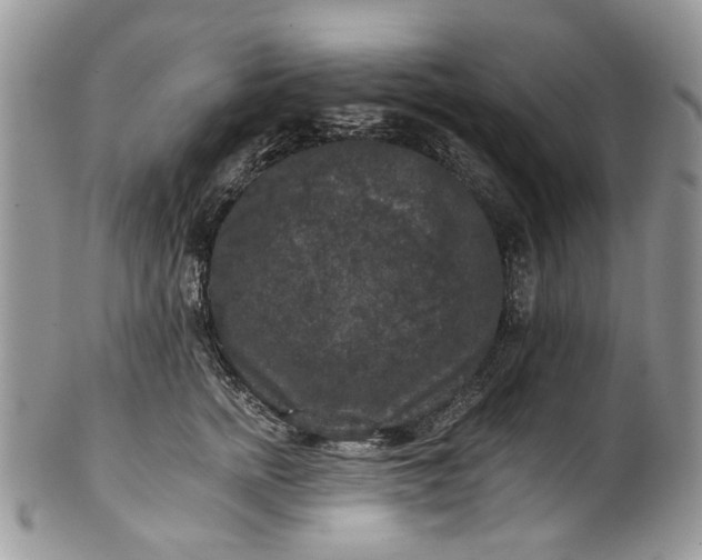 X0000101970758200808011130