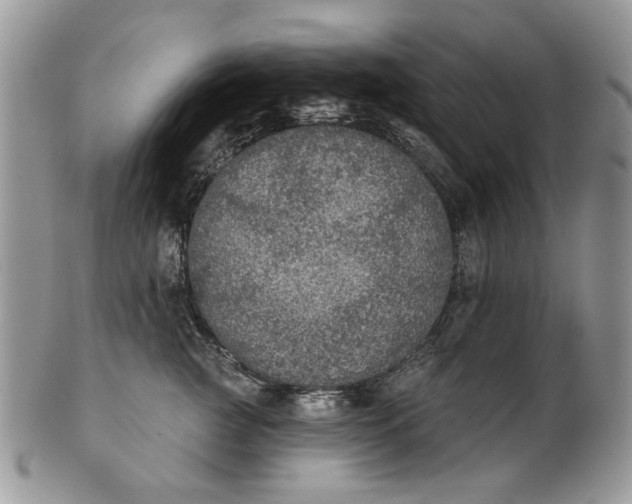 X0000101970761200808011130