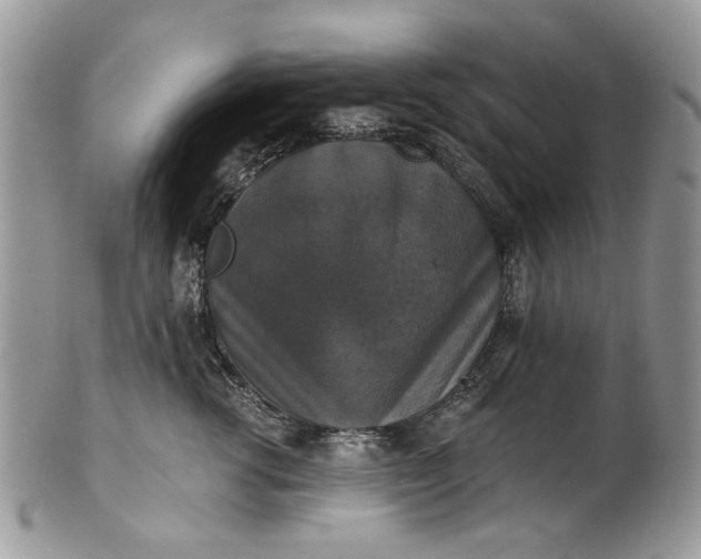 X0000101970762200808011130