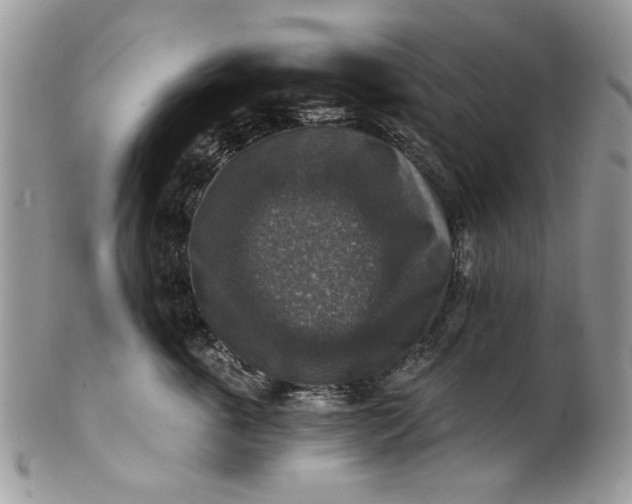 X0000101970763200808011130