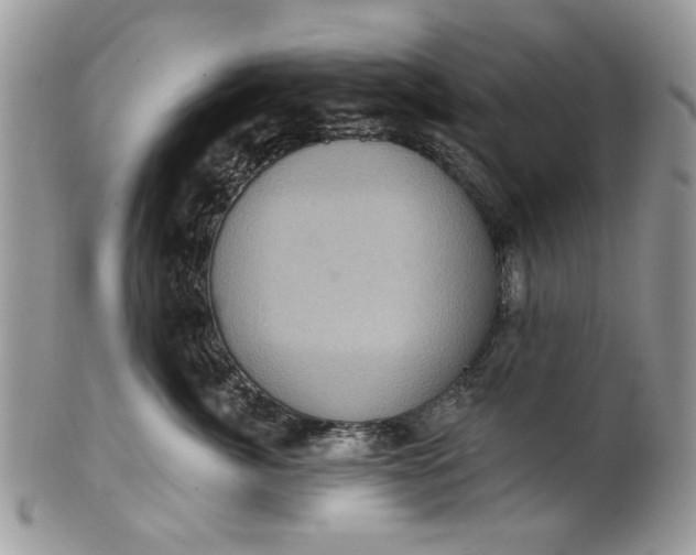 X0000101970764200808011130