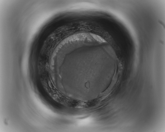 X0000101970765200808011131