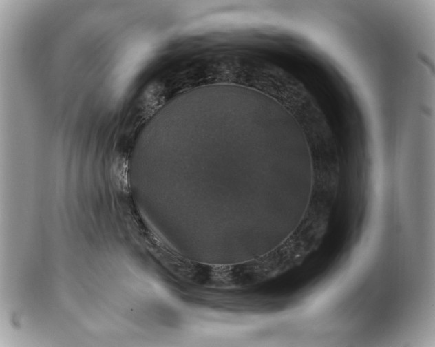 X0000101970766200808011131