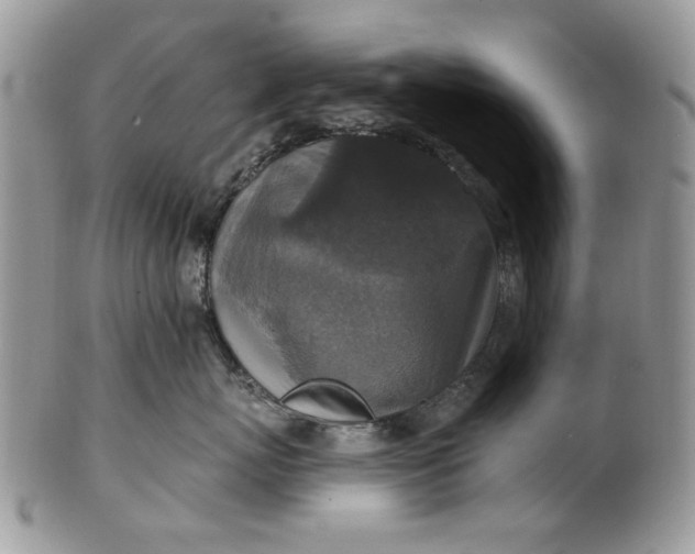 X0000101970767200808011131