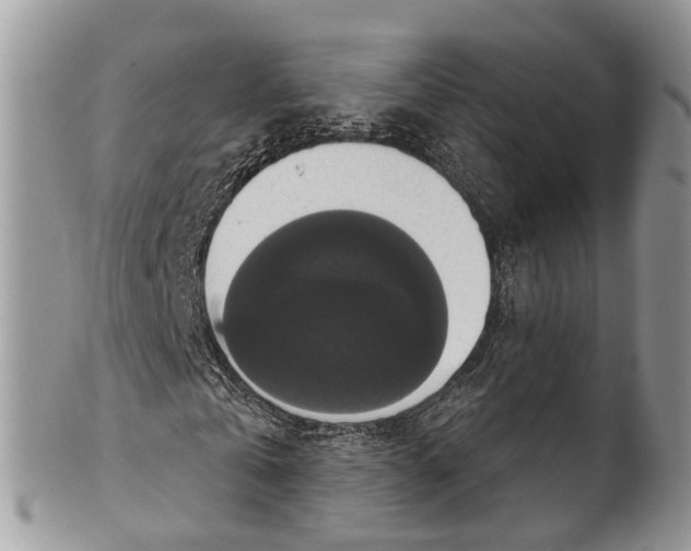 X0000101970769200808011130