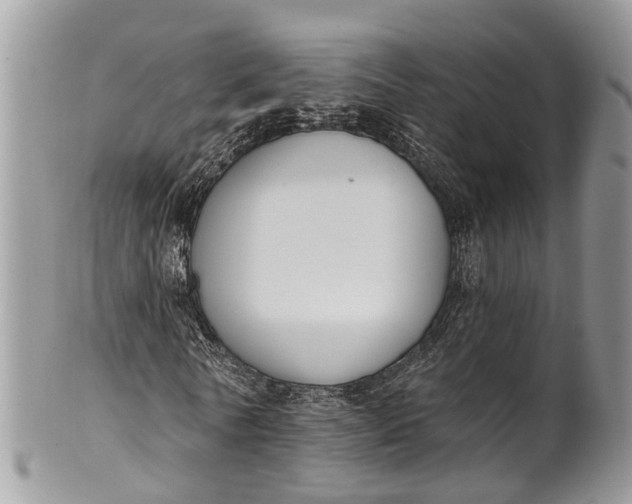 X0000101970770200808011130