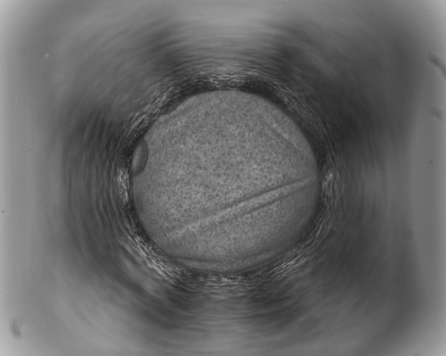 X0000101970772200808011130