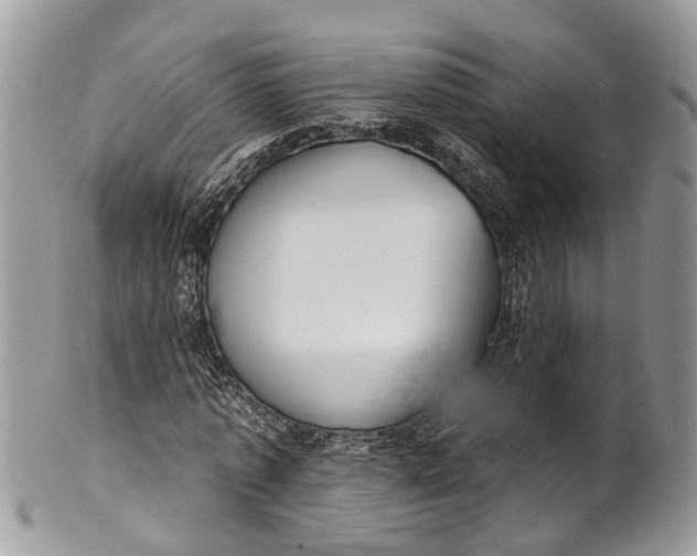X0000101970773200808011130