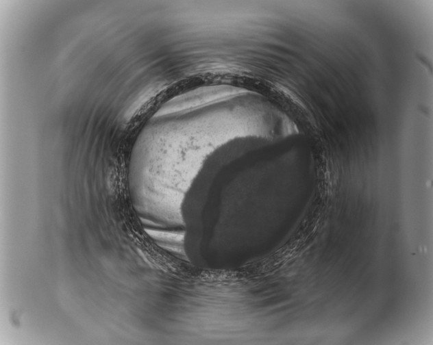 X0000101970775200808011130