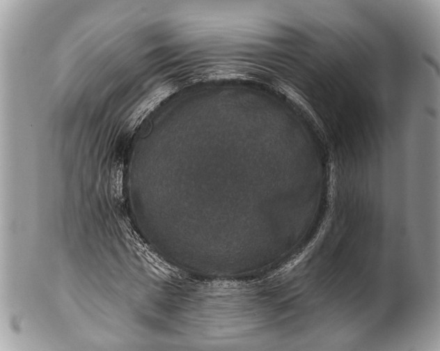 X0000101970777200808011130