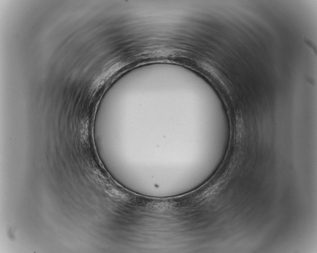 X0000101970778200808011130