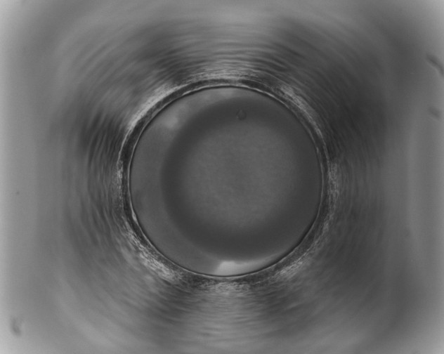 X0000101970779200808011130