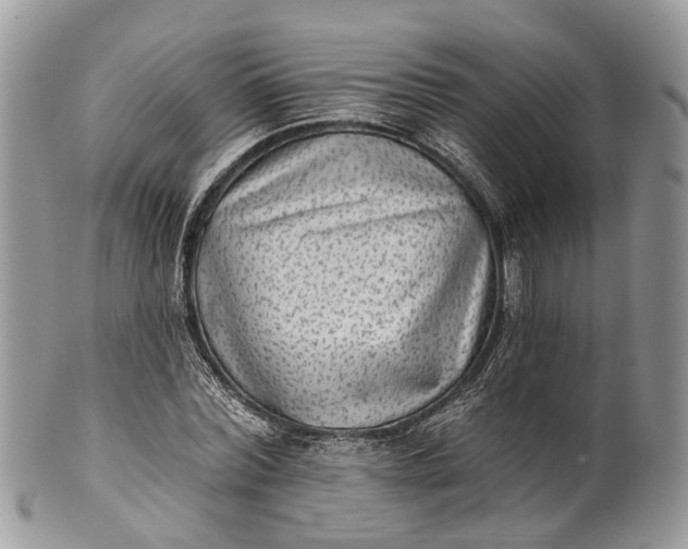 X0000101970780200808011130