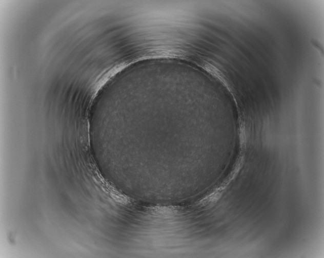 X0000101970781200808011130