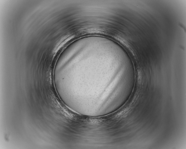 X0000101970782200808011130