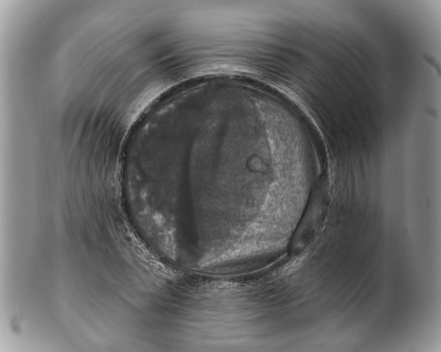X0000101970783200808011130