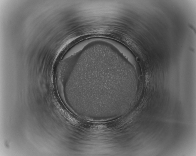 X0000101970784200808011130