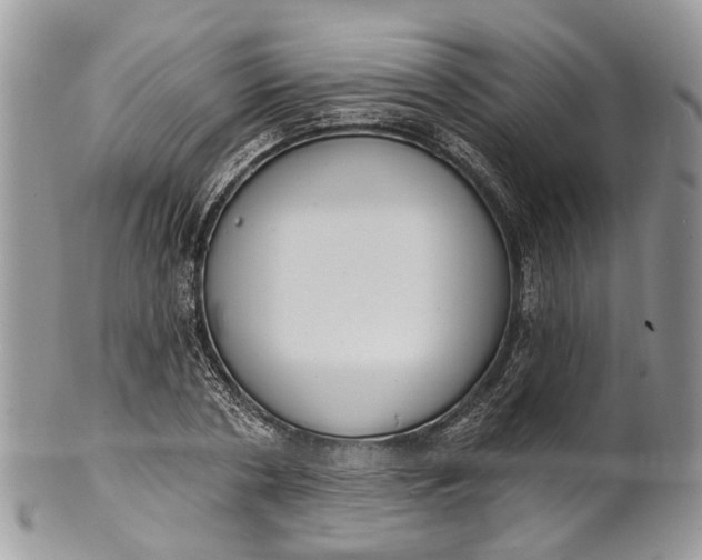 X0000101970786200808011130