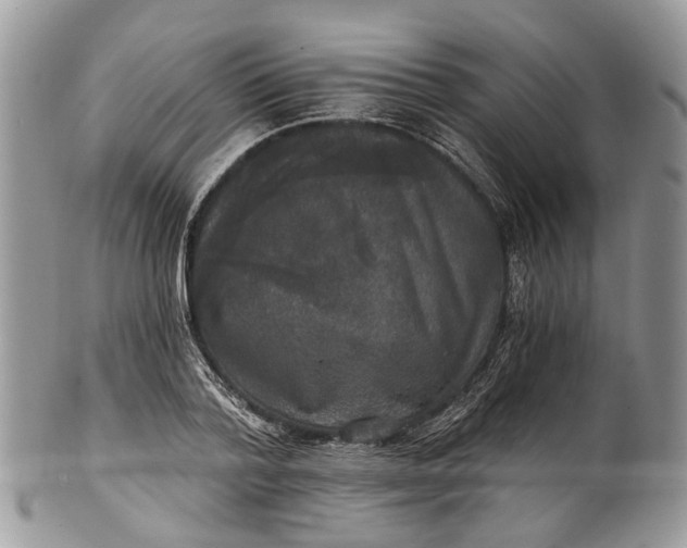 X0000101970788200808011130