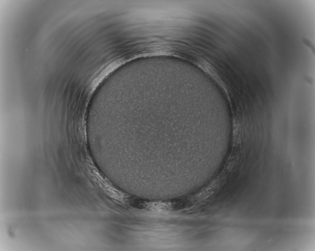 X0000101970789200808011129