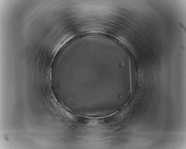 X0000101970790200808011129