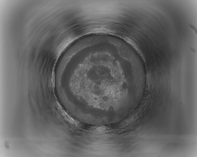 X0000101970791200808011129