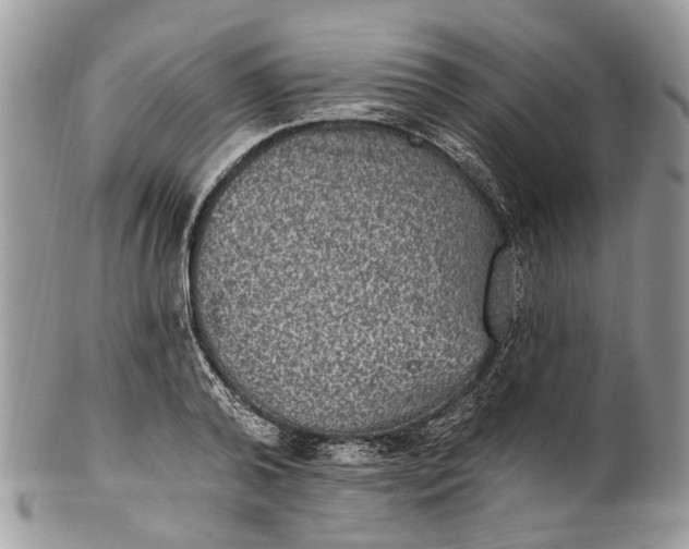 X0000101970792200808011129