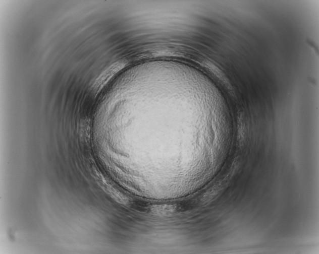 X0000101970793200808011129