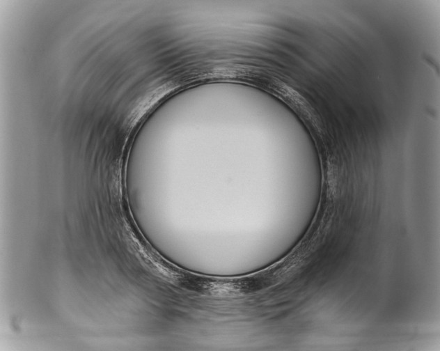 X0000101970794200808011129