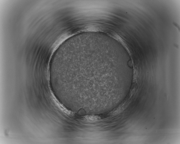 X0000101970795200808011129