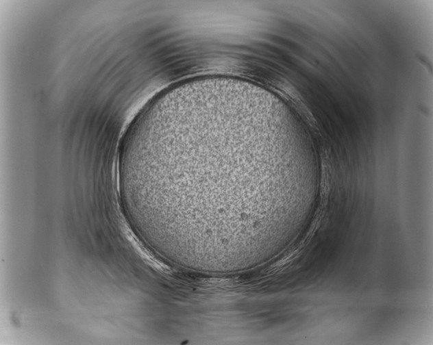 X0000101970796200808011129