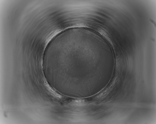 X0000101970797200808011129