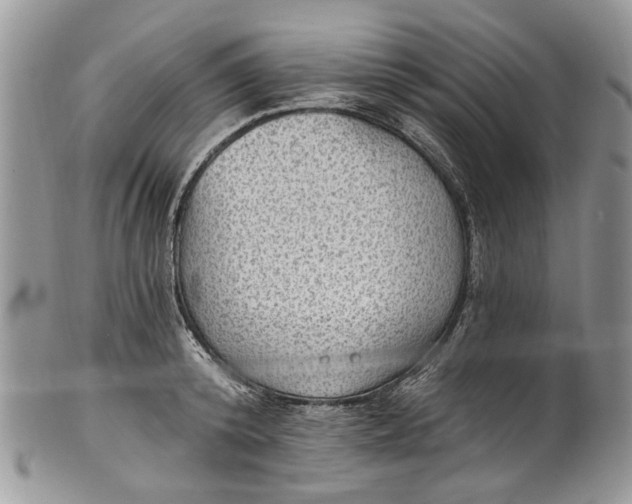 X0000101970800200808011129