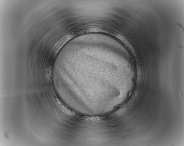 X0000101970801200808011129