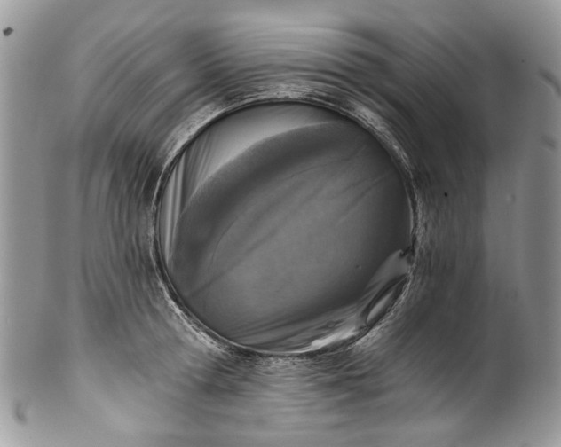 X0000101970802200808011129