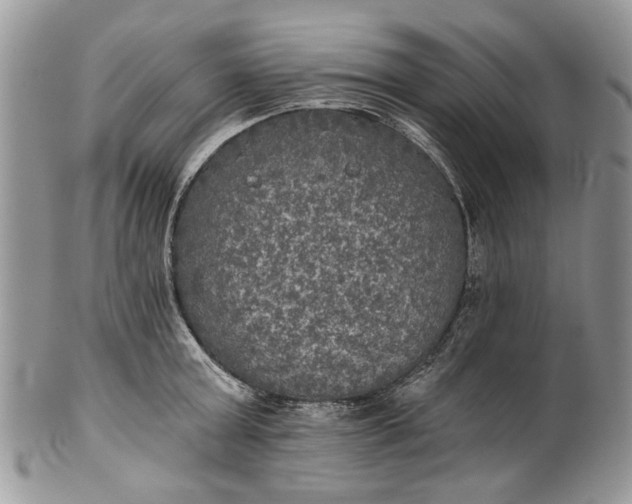X0000101970803200808011129