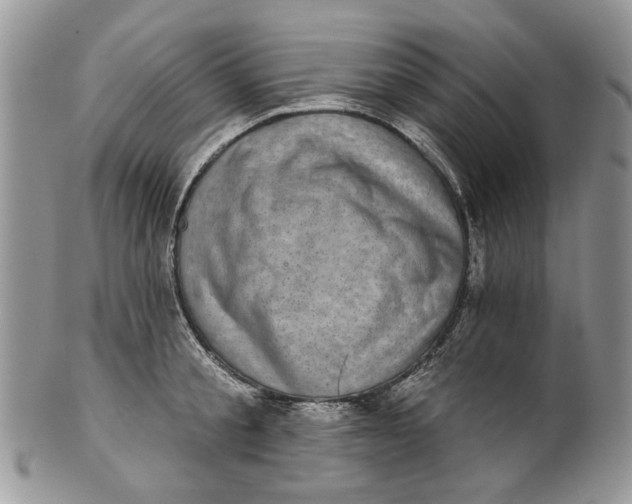 X0000101970805200808011129