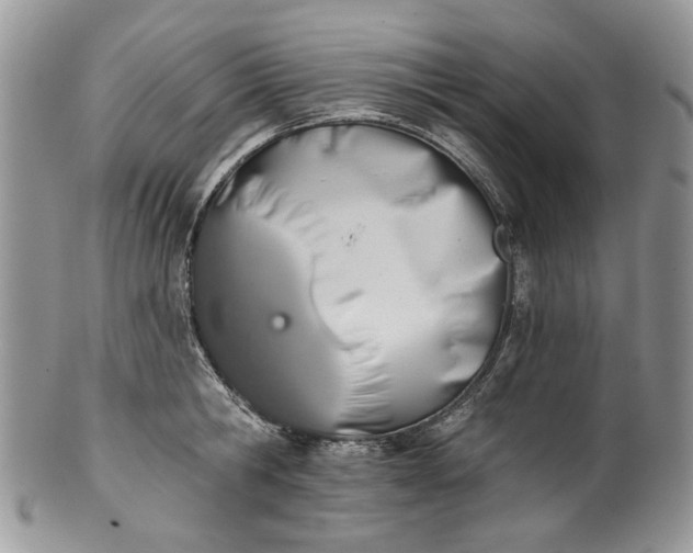 X0000101970806200808011129