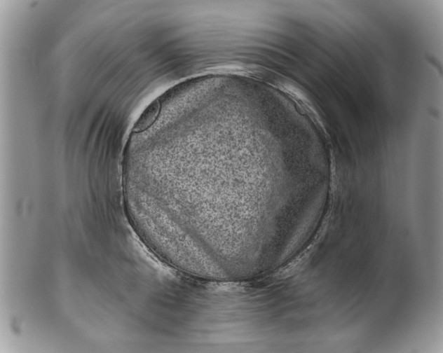 X0000101970808200808011129