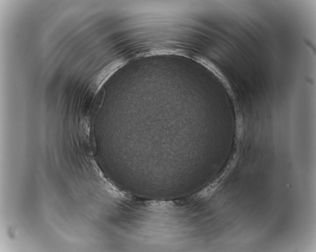 X0000101970809200808011129