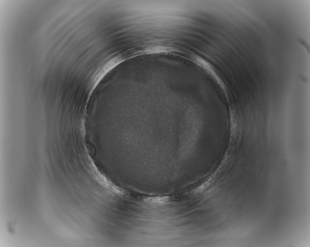 X0000101970810200808011129