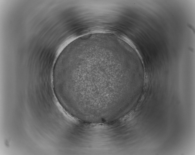 X0000101970811200808011129