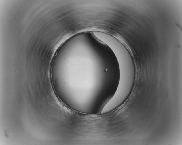 X0000101970813200808011129