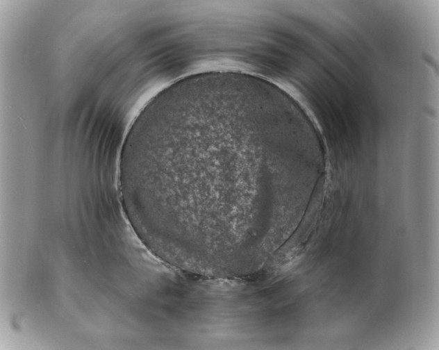 X0000101970815200808011129