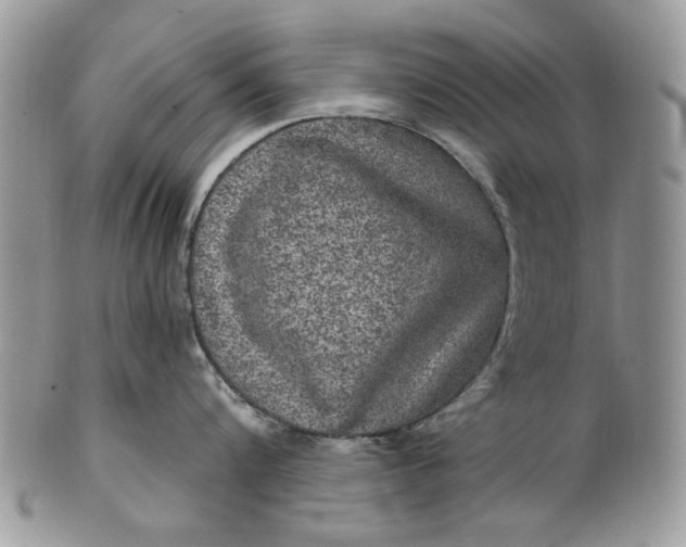 X0000101970816200808011129